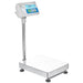 ADAM Equipment BCT Advanced Label Printing Floor Scales Angled Right View