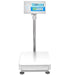 ADAM Equipment BCT Advanced Label Printing Floor Scales Front View