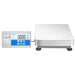 ADAM Equipment BKT Label Printing Floor Scales Detached Display Front View
