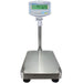 ADAM Equipment GBC Checkweighing Bench Scales Front View