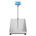 ADAM Equipment GBK-Plus Checkweighing Large Floor Scales Front View