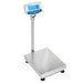 ADAM Equipment GFK-S Checkweighing Floor Scales Angled Right Front View