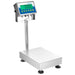 ADAM Equipment Gladiator GGB Washdown Floor Scales Angled Right View
