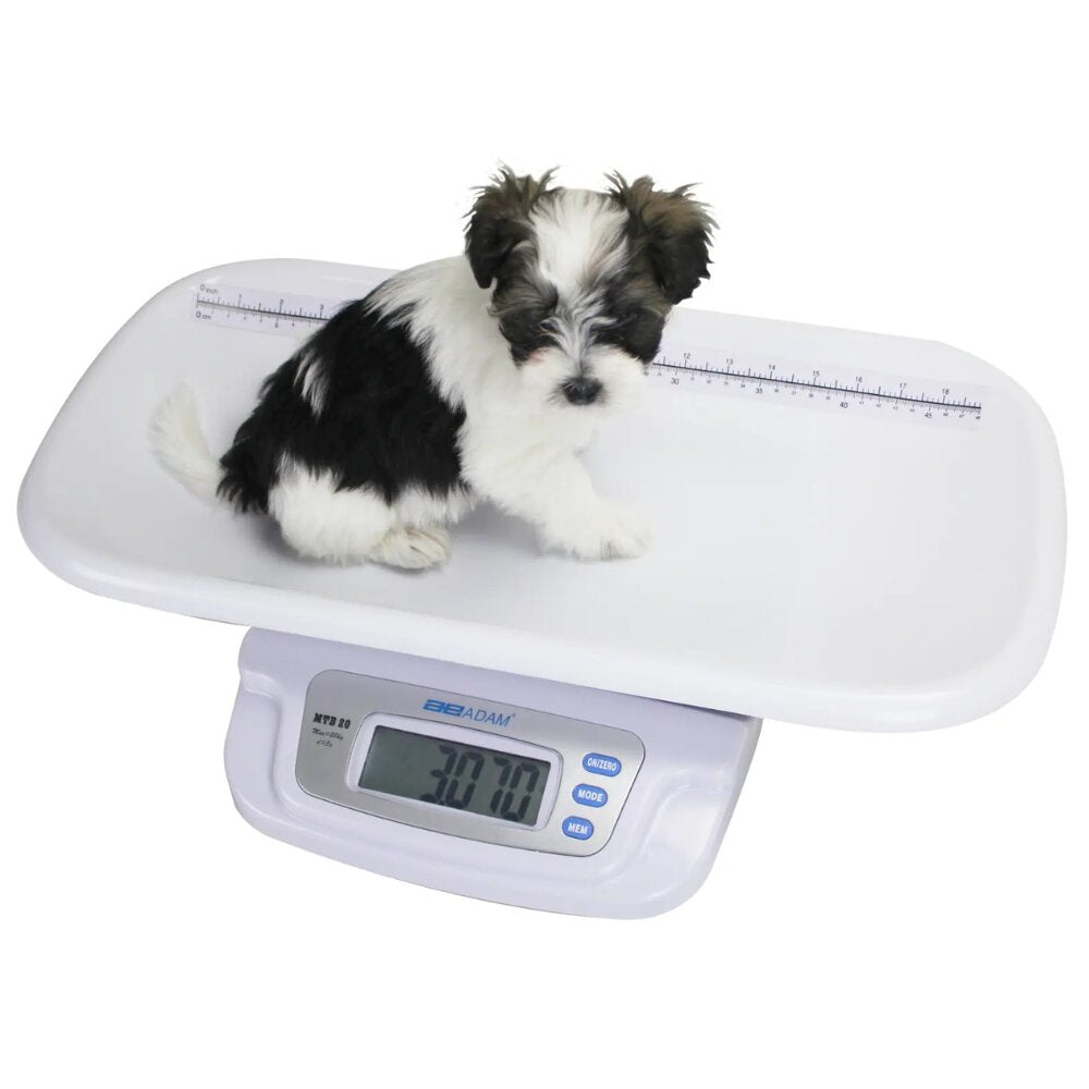 ADAM Equipment MTB Baby & Small Animal Digital Scale with Small Dog in Cradle Top Front View