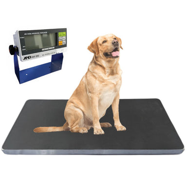 A&D Weighing AW-300 Animal Weighing Scale Front View with AD-4406 Weighing Indicator and a Medium Sized Dog on Scale 
