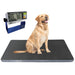 A&D Weighing AW-300 Animal Weighing Scale Front View with AD-4406 Weighing Indicator and a Medium Sized Dog on Scale 