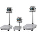 A&D Weighing HV-CWP Waterproof Platform Scale Series Side by Side Angled Left Front View
